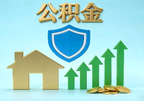 丽水当前住房公积金提取条件分类指南与政策趋势